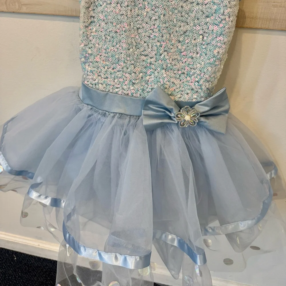 Weissman ballet tap dance costume, Best Dance of All Time, IC - Picture 5 of 9
